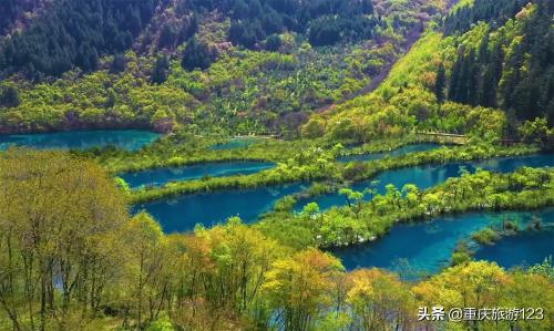 5月到九寨沟旅游线路报价（五月去哪嗨）