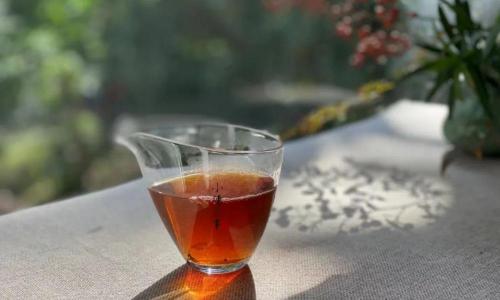 牛栏坑肉桂多少钱一斤（一斤上万元）