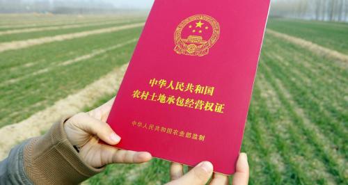 农村土地补贴多少钱一亩（农村土地退出每亩补偿多少钱）