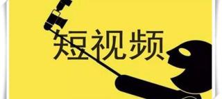 白鳝多少钱一斤（野生鳗鱼泛滥）