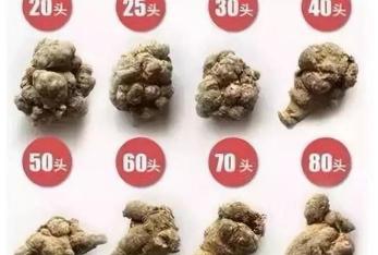 三七片多少钱一盒（请广而告之）