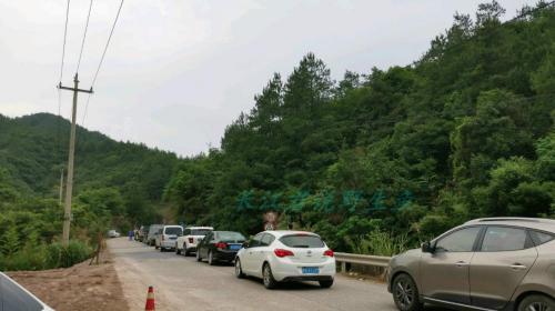 溪石斑鱼多少钱一斤（离奇）
