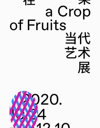 夾山改梁多少錢一米（一茬果）
