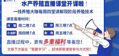 养龙虾一亩地纯利多少钱(小龙虾养殖户致富有出路)