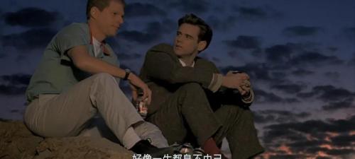 楚门鸡多少钱一次（为什么一定要警惕信息茧房）