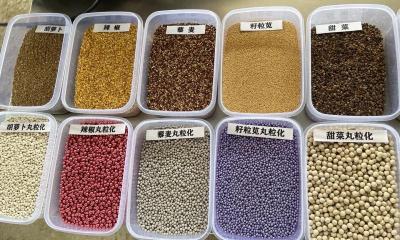 食叶草种子多少钱一斤（蹲点调查丨包衣成）