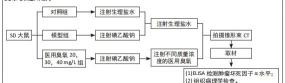 臭氧治疗一次多少钱（关节腔内注射医用臭氧治疗颞下颌关节骨关节炎模型大鼠的合适剂量）