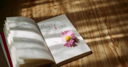 成长快乐多少钱一盒（这几个是能快速获取有价值内容的公众号）