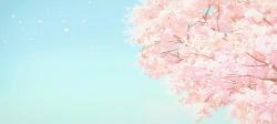 橘菓子加盟费多少钱（重庆这些樱花美食）