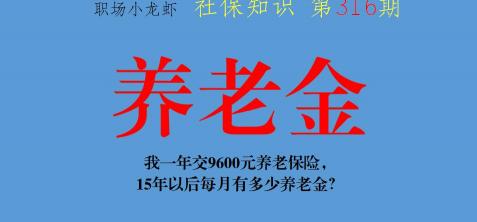 养老金一年交多少钱（一年交9600元养老保险）