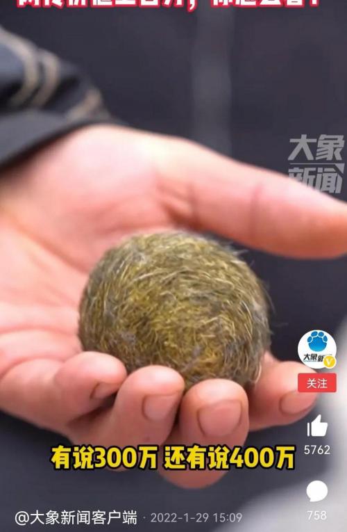 牛黄的价格多少钱一克（菏泽男子杀年猪发现）