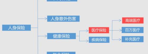 高端医疗保险一年多少钱（什么是高端医疗保险）