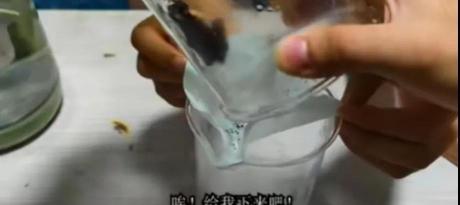 镀银多少钱一克（发家致富）