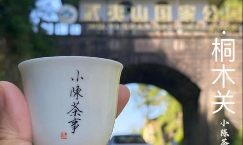 金骏眉茶叶多少钱一斤价格（茶圈里的别里科夫）