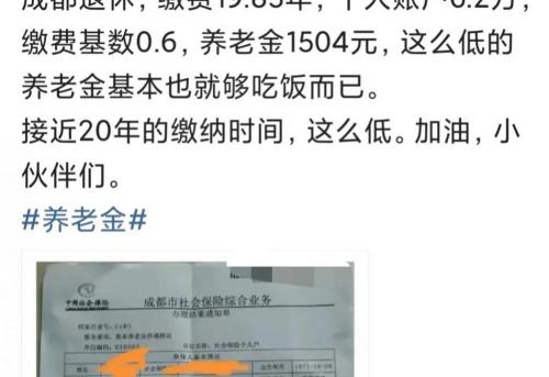 现在养老保险一个月交多少钱（缴纳养老保险近20年）