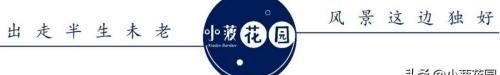 随喜一般多少钱（佛家常说的）