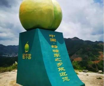 蜂巢多少钱一斤啊（1斤卖30元）