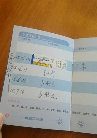 給貓打疫苗多少錢（貓咪疫苗該打哪幾種）