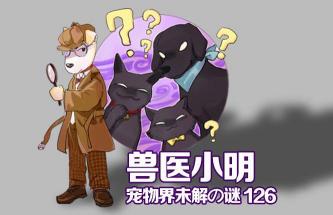 宠物店给狗剃毛多少钱（辟谣）