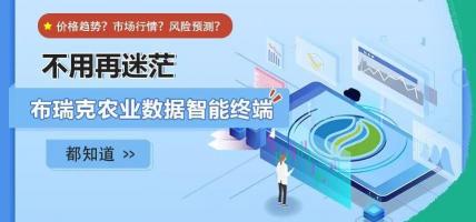 燕麦片价格多少钱一斤（我国燕麦的消费量逐年提高）