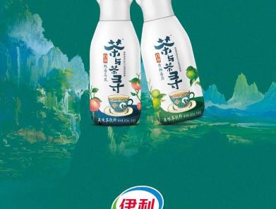 康师傅果茶物语多少钱（两大巨头前后脚进入）