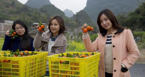 种果树每亩补贴多少钱（农民注意）
