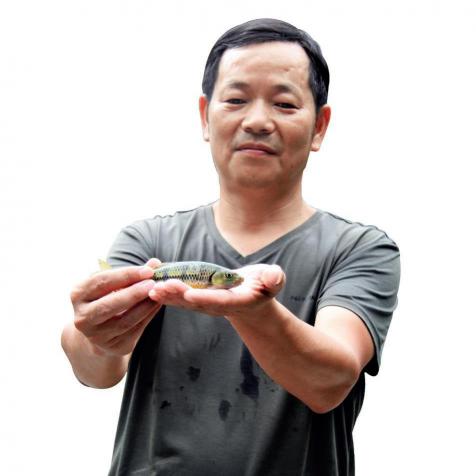 溪石斑鱼多少钱一斤（安徽的溪石斑鱼）