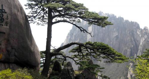 黄山门票多少钱（安徽黄山旅游景区门票价格一览）