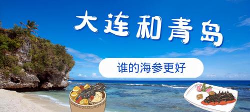 一根海参多少钱（同样是滨海城市）