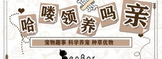 猫洗一次澡多少钱（辟谣）