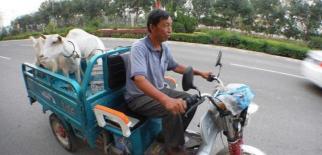 電動三輪車多少錢（一輛8000元左右的電動三輪車）