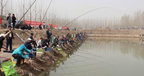 黑坑一年挣多少钱（钓黑坑光赔钱）