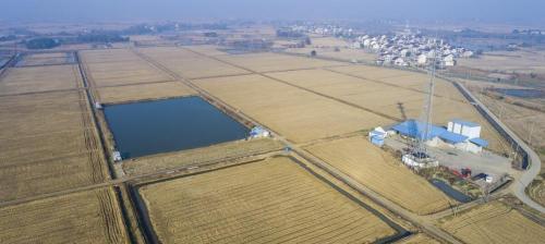 农村土地补贴多少钱一亩（高标准农田建设一亩能补多少钱）