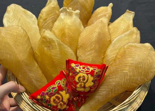金钱鳘鱼胶一斤多少钱（鱼胶的六大误区）