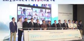 參松養心膠襄多少錢一盒（2020室性心律失常中國專家共識）