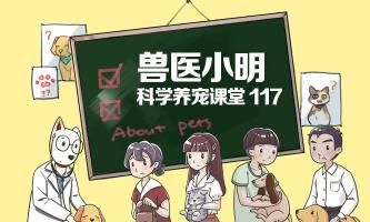 金渐层猫一般多少钱（被称之为）