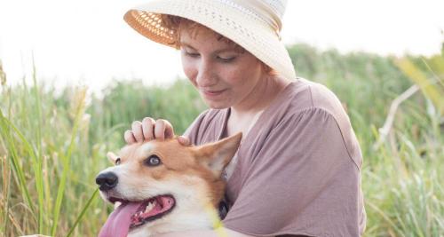 纯种柯基幼犬多少钱一只(柯基犬一般多少钱)