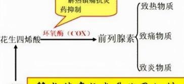 双氯芬酸钠缓释片多少钱一盒（布洛芬）