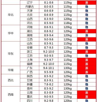 今天猪价多少钱（今日猪价行情）