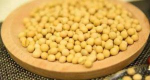 现在黄豆多少钱一斤（目前大豆价格多少钱一斤）