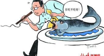 虹鳟鱼多少钱一斤（虹鳟鱼）