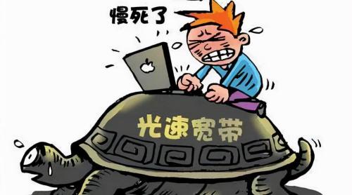 安装网线一年多少钱（装修时要不要装网线）