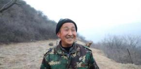 锦鸡多少钱一只（山西大爷发现2只红腹锦鸡）