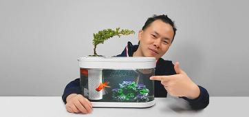 懒人鱼多少钱一条（仅299）