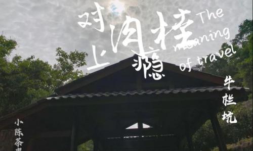 牛栏坑肉桂多少钱一斤（我打算在牛栏坑口开个食杂店）
