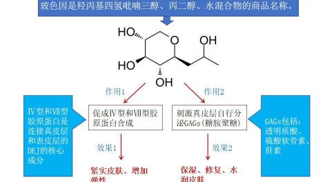 dd丰盈紧致精华多少钱（抗老三巨头之玻色因）
