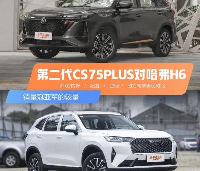 哈弗h6后雾灯多少钱（冠亚军间的较量）