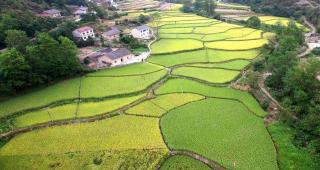 农村土地多少钱一亩（农村土地有偿永久性退出试点村）