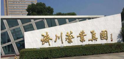 蒲地蓝多少钱一盒（股价）