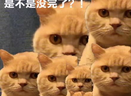 膀胱镜检查多少钱（膀胱镜检查很痛苦）